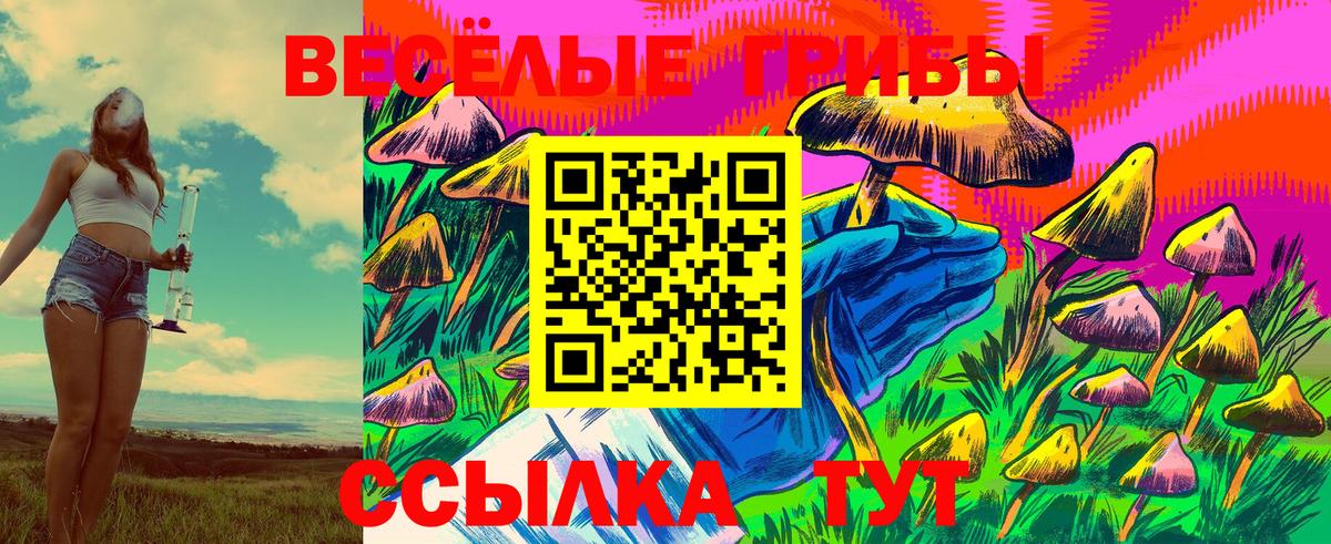 Псилоцибиновые грибы GOLDEN TEACHER Новосибирск