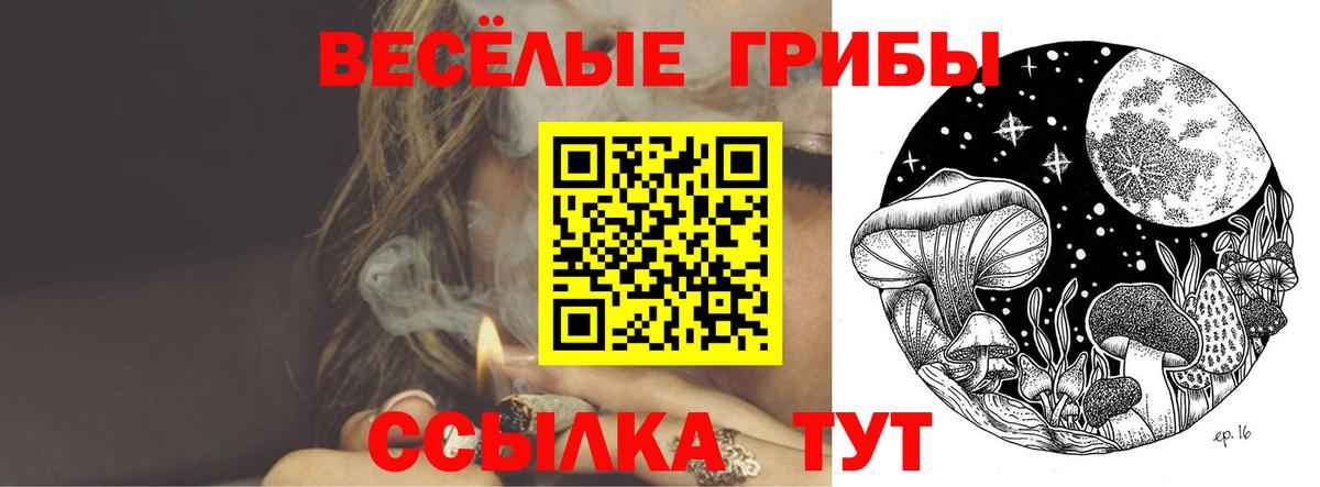 Новосибирск  Галлюциногенные грибы прущие грибы  Вход с VPN  Галлюциногенные грибы мицелий 